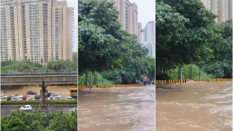 Sea View From DLF Camellias Flats